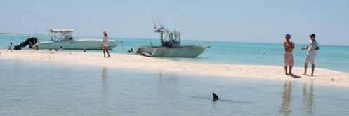 דנהאם Dirk Hartog Island Eco Lodge מראה חיצוני תמונה